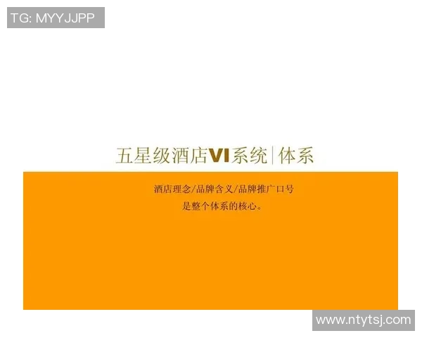 实况足球中星星的含义与影响解析，玩家如何理解并利用星级系统