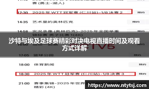 沙特与埃及足球赛精彩对决电视直播时间及观看方式详解